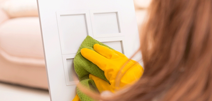 Biblolar Tozlanmasın, Solmasın! Evde Kolay Temizlik Yöntemleri