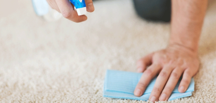 Halıdaki Zor Lekeler Nasıl Çıkar? Çıkmayan Lekeler İçin Etkili Yöntem