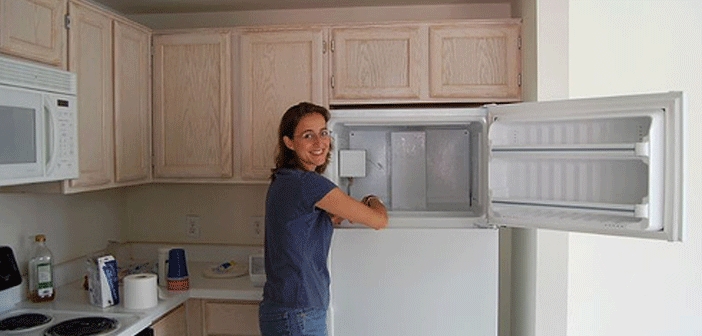 Derin Dondurucu Nasıl Temizlenir? En Etkili Temizlik Yöntemleri