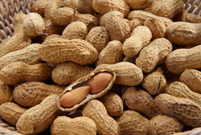 Yerfıstığı Tarımı Nasıl Yapılır?