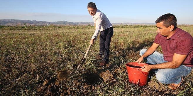 Toprak Analizine Göre Gübreleme