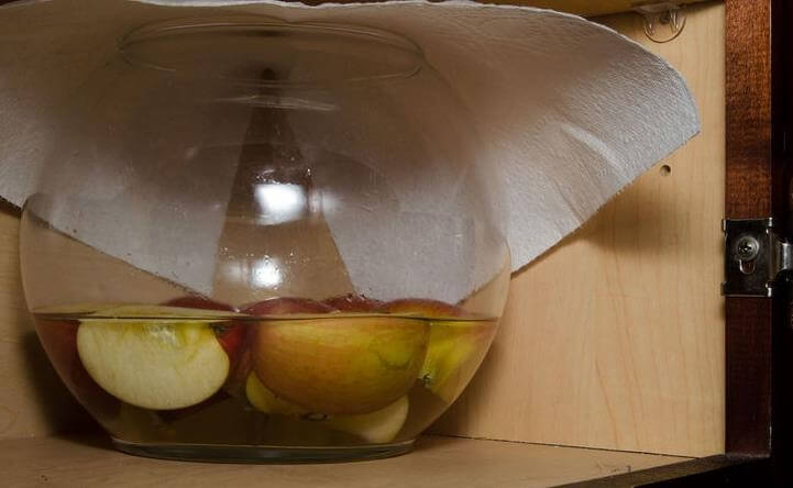 Elma Sirkesi Yapımı