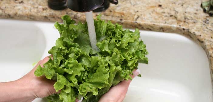 Yeşilliklerdeki Kumlar Nasıl Temizlenir? Doğal Ve Etkili Yöntemler