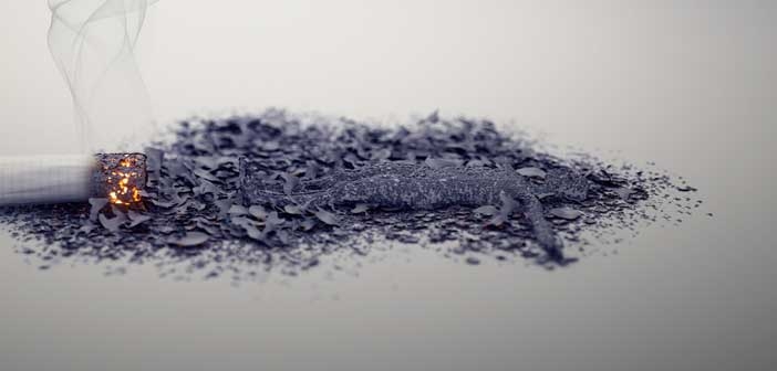 Sigara Külünün Kullanım Alanları Nelerdir?