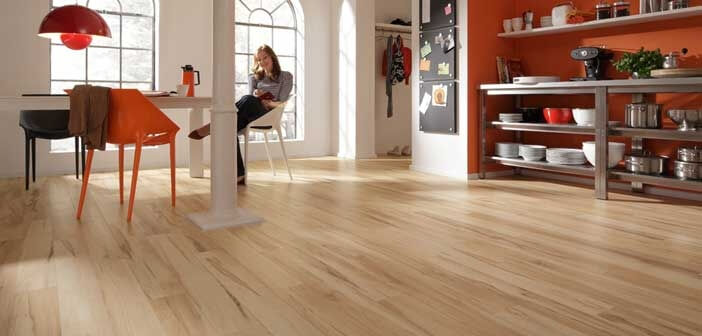 Parke Temizliği İçin Püf Noktalar Nelerdir?