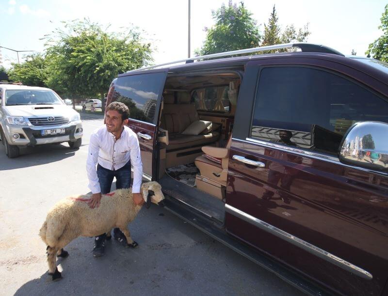 Kurbanlık Hayvan Sevklerinde, Alımlarında Ve Kesimlerinde Dikkat