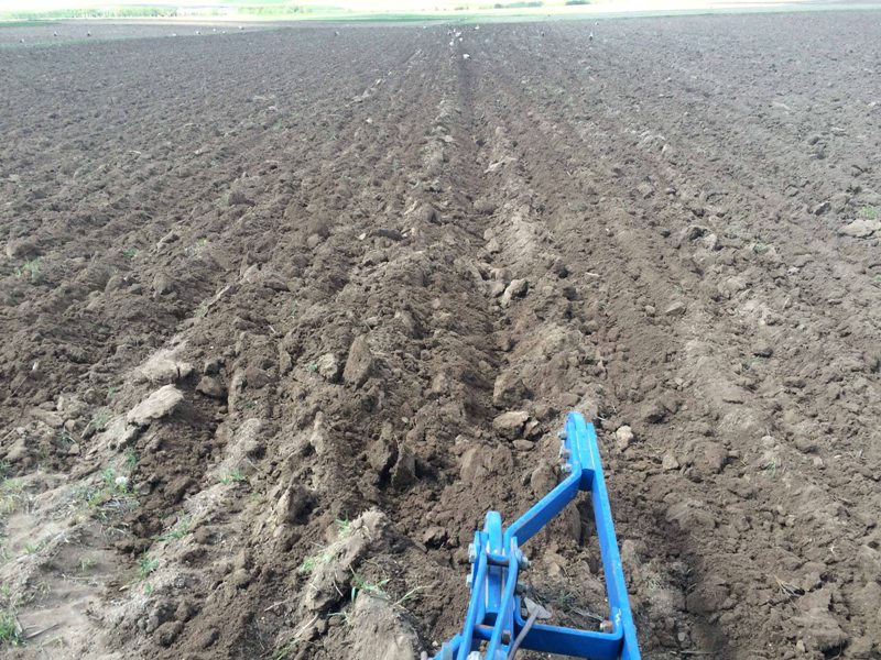 Tüm Ayrıntılarıyla Toprak İşleme Nedir?