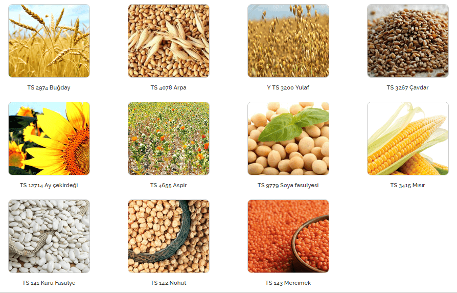 Lisanslı Depoculuk Genel Bilgileri