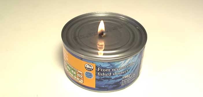 Ton Balığından Mum Nasıl Yapılır? Ton Balığından Mum Nasıl Yapılır?