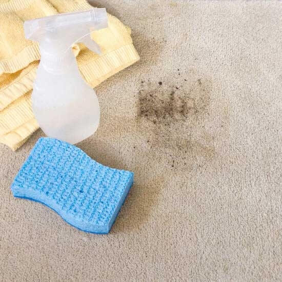 Ev Yapımı Halı Deterjanı