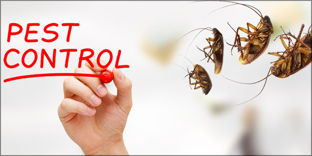 Pest Kontrol Ne Demek? Pest Kontrol