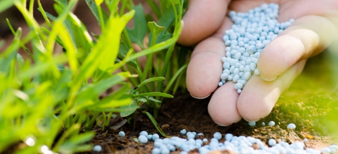 Amonyum Nitrat Gübresi Nedir?