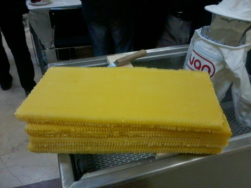 Arıcılıkta Kolonilerin Kabartılmış Petek İle Desteklenmesi Nasıl Yapılır?