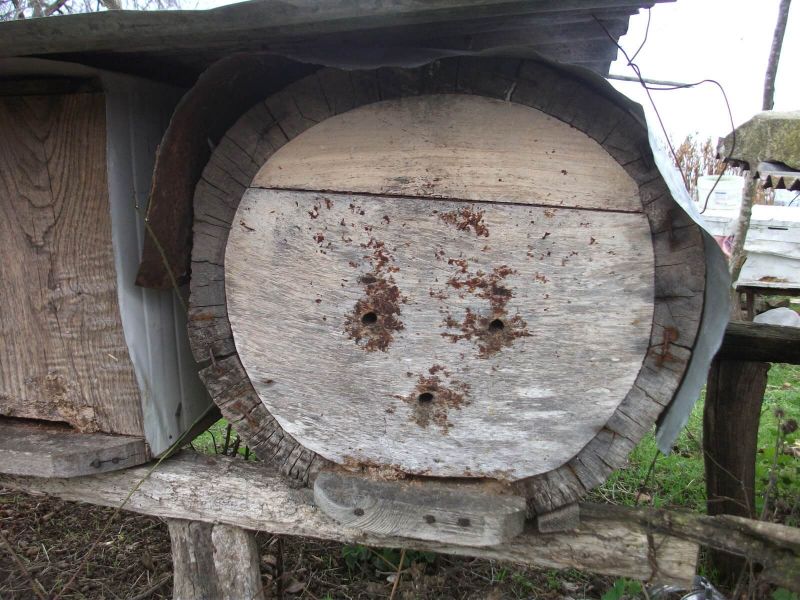 Arıcılığın Tarihi Ve Gelişimi Arıcılığın Tarihi Ve Gelişimi