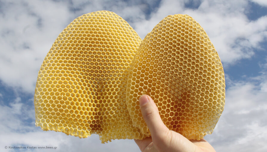 Balmumu Nedir, Nerelerde Kullanılır?