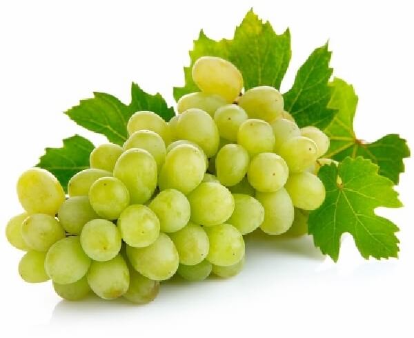 Üzüm Yetiştiriciliği Nasıl Yapılır?