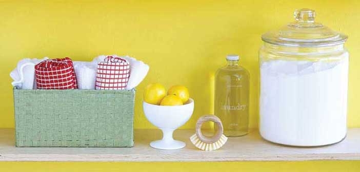 Kimyasal Madde Olmadan Temizlik Nasıl Yapılır? organik temizlik