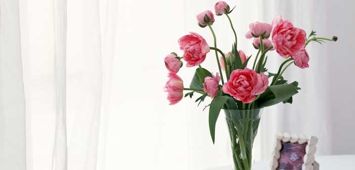 Canlı Vazo Çiçekleri Nasıl Uzun Süre Yaşar?