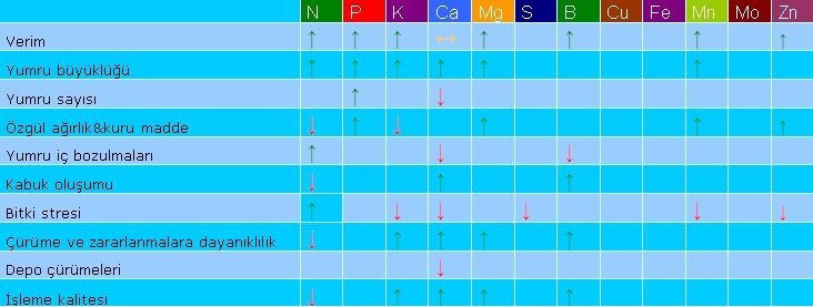 Patateste Bitki Besleme Ve Gübreleme Nasıl Yapılır? Patateste Bitki Besleme Gübreleme