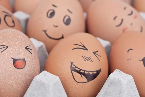 Yumurta Kabuğunun Kullanım Alanları Nelerdir?