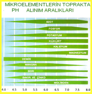 Toprakta Ph Değeri Neden Önemlidir?