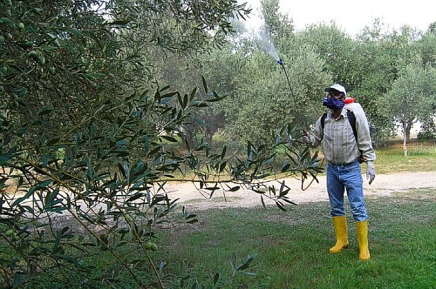 Bordo Bulamacı Nasıl Uygulanır?