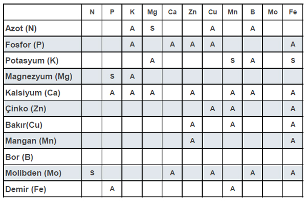 Birbirinin Alımını Olumsuz Etkileyen Elementler Nelerdir?