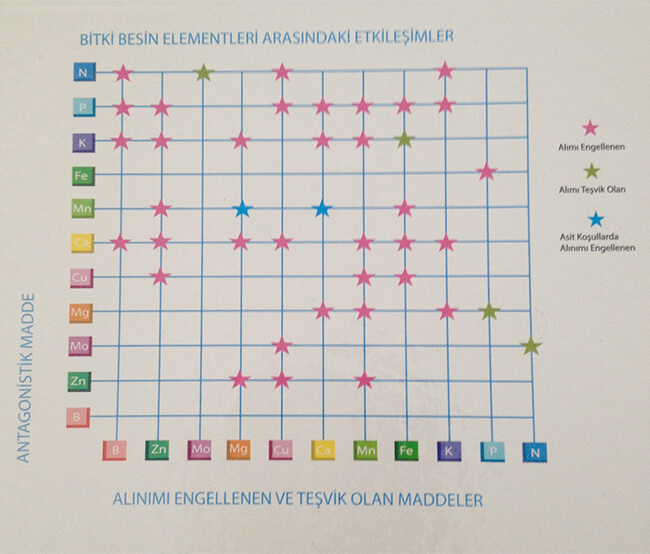 Birbirinin Alımını Olumsuz Etkileyen Elementler Nelerdir?