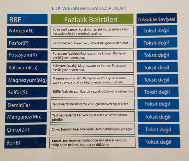 Birbirinin Alımını Olumsuz Etkileyen Elementler Nelerdir?