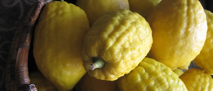 Ağaçkavunu Faydaları Ve Zararları Nelerdir?