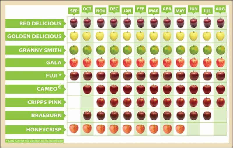 Elma Çeşitleri