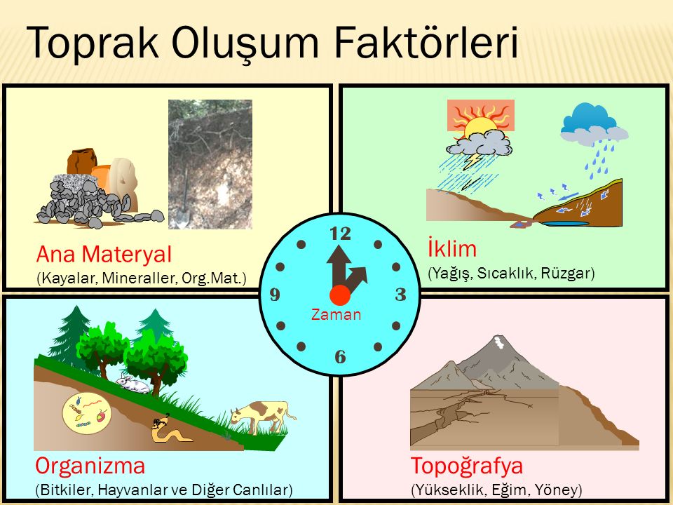 Toprak Nedir Ve Nasıl Oluşur?
