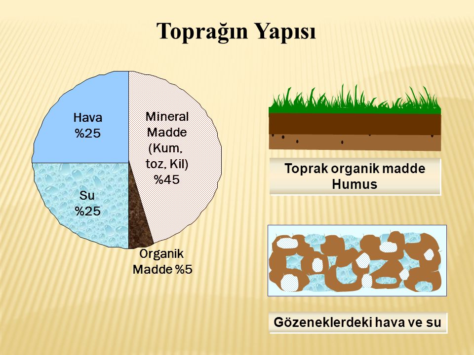 Toprak Nedir Ve Nasıl Oluşur?