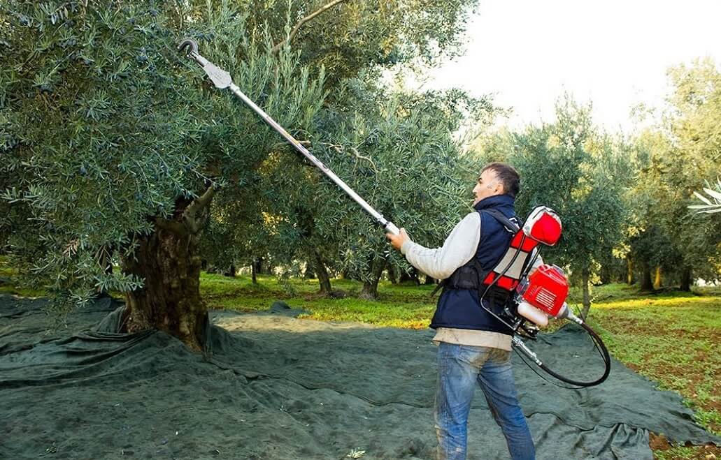 Yeni Tarım Aletleri Ve Kullanım Alanları Nelerdir?