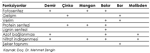 <a title='Mikro Elementler Nelerdir?' href='https://www.muhendistarim.com.tr/konu/3109/mikro-elementler-nelerdir'>Mikro</a> Besin Elementleri (Kapsamlı Ders Notu) Mikro Besin Elementleri (Kapsamlı Ders Notu)
