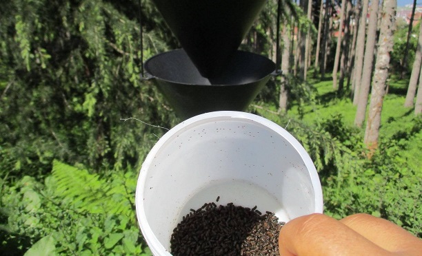 Feromonlar Nedir, Çeşitleri Nelerdir?