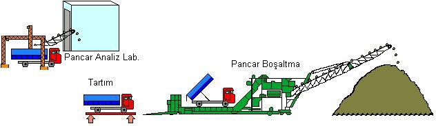 Şeker Üretimi Proses Aşamaları Nelerdir?