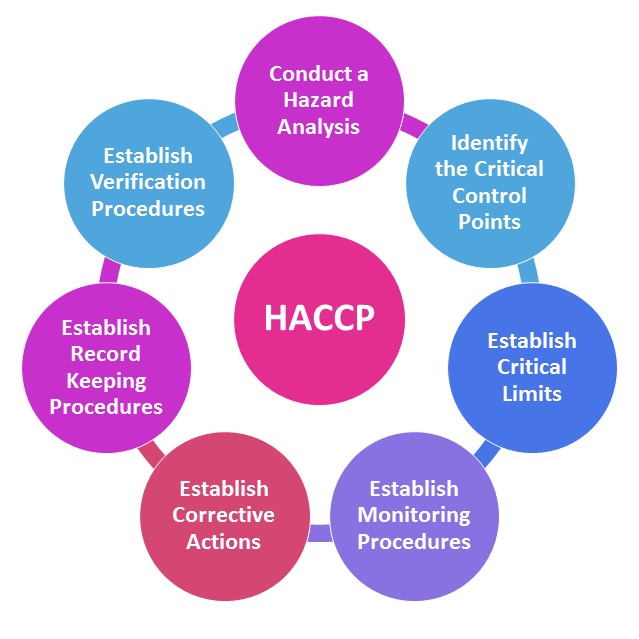 Haccp Standardı Tarihsel Gelişimi Nelerdir?