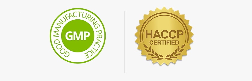 Haccp Ve Gmp İlişkisi Nedir?