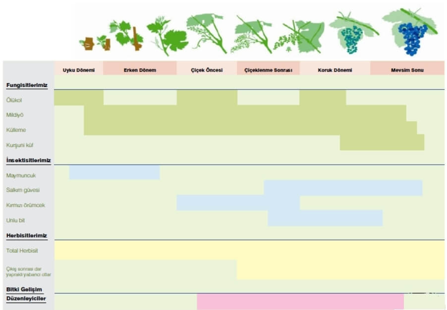 Bağda İlaçlama Takvimi