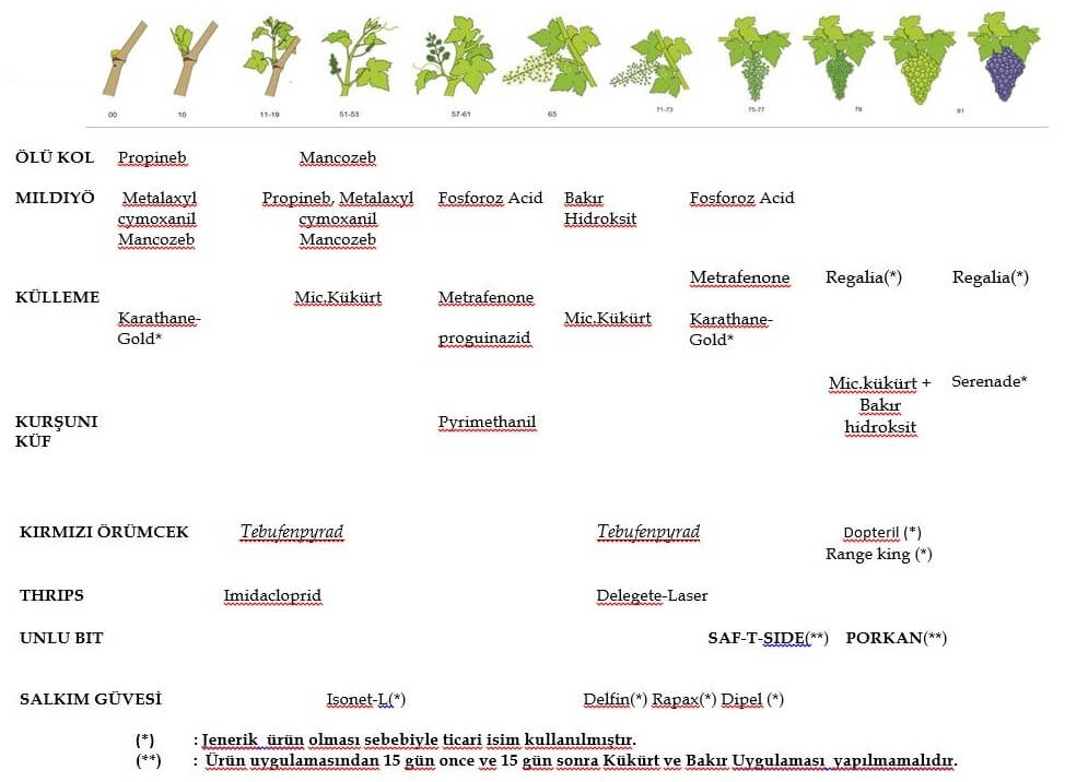 Bağda İlaçlama Takvimi