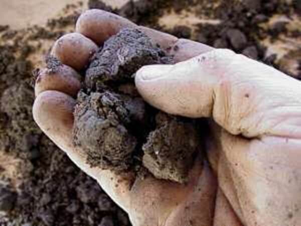 Toprak Tavı Nedir Nasıl Olmalıdır?