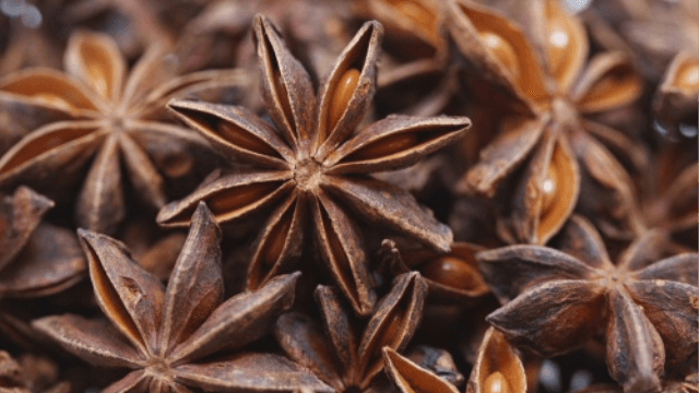 Anason Yağının Faydası Ve Zararı Nelerdir?