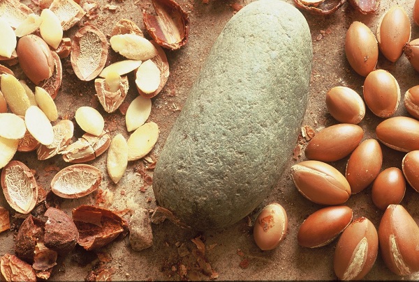 Argan Yağının Faydası Ve Zararı Nelerdir?