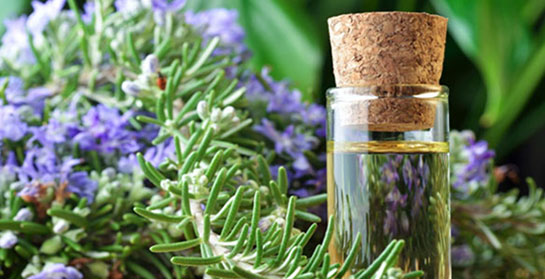 Biberiye Yağının Faydaları