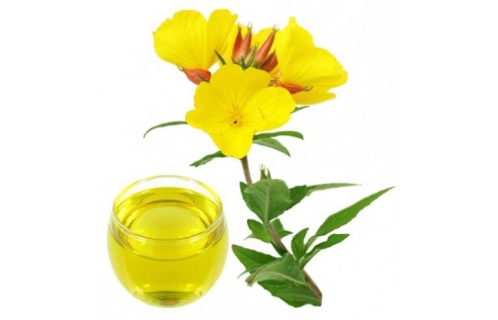 Çuha Çiçeği Yağının Faydaları Ve Zararları Nelerdir? Çuha Çiçeği Yağının Faydaları Ve Zararları Nelerdir?