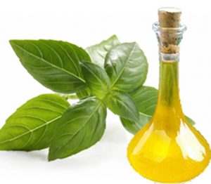 Fesleğen Yağının Faydaları Ve Zaraları Nelerdir?