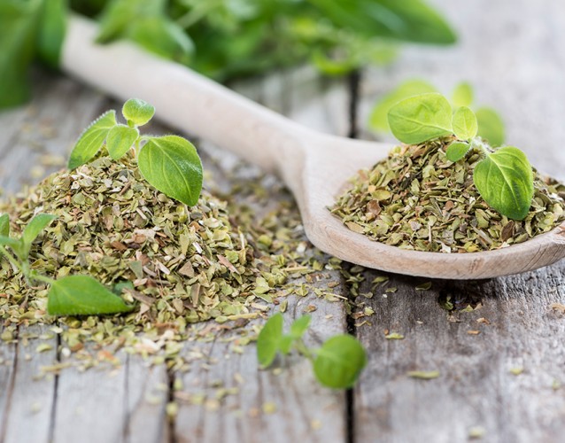 Kekik Yağının Faydaları Ve Zararları Nelerdir?