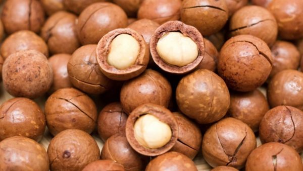 Macadamia Yağının Faydaları Ve Zararları Nelerdir? Macadamia Yağının Faydaları Ve Zararları Nelerdir?