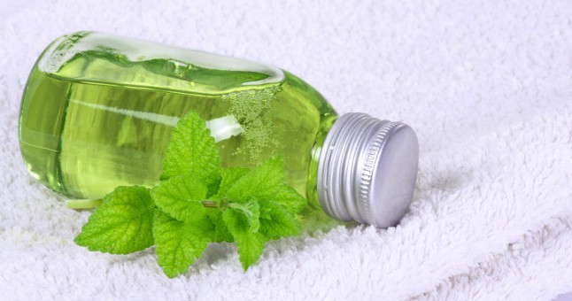 Melisa Yağının Faydaları ve Zararları